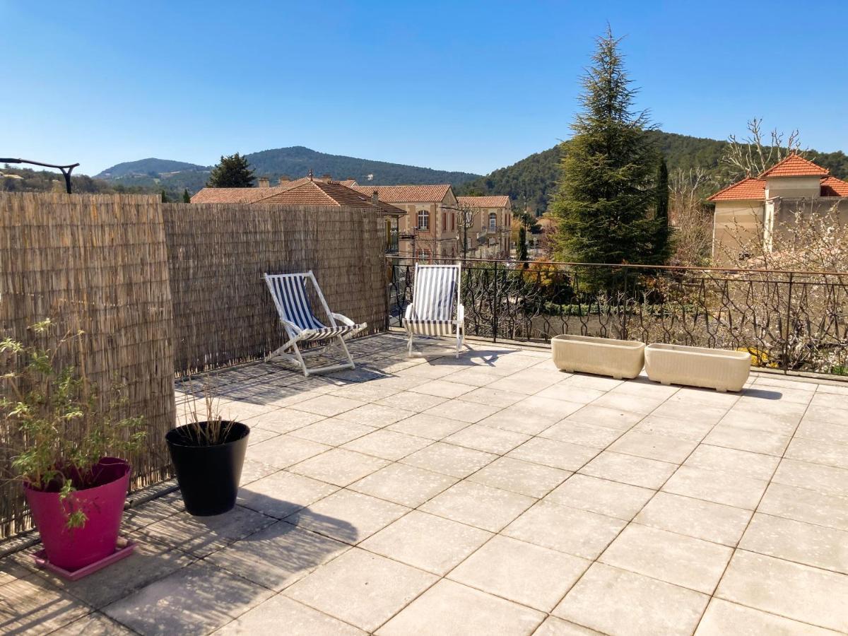 Bel Appartement Avec Grande Terrasse Sud Vaison-la-Romaine Zewnętrze zdjęcie